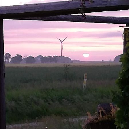 Landhaus Loewenzahn Dornum Exteriör bild