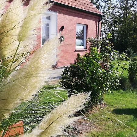 Landhaus Loewenzahn Dornum Exteriör bild