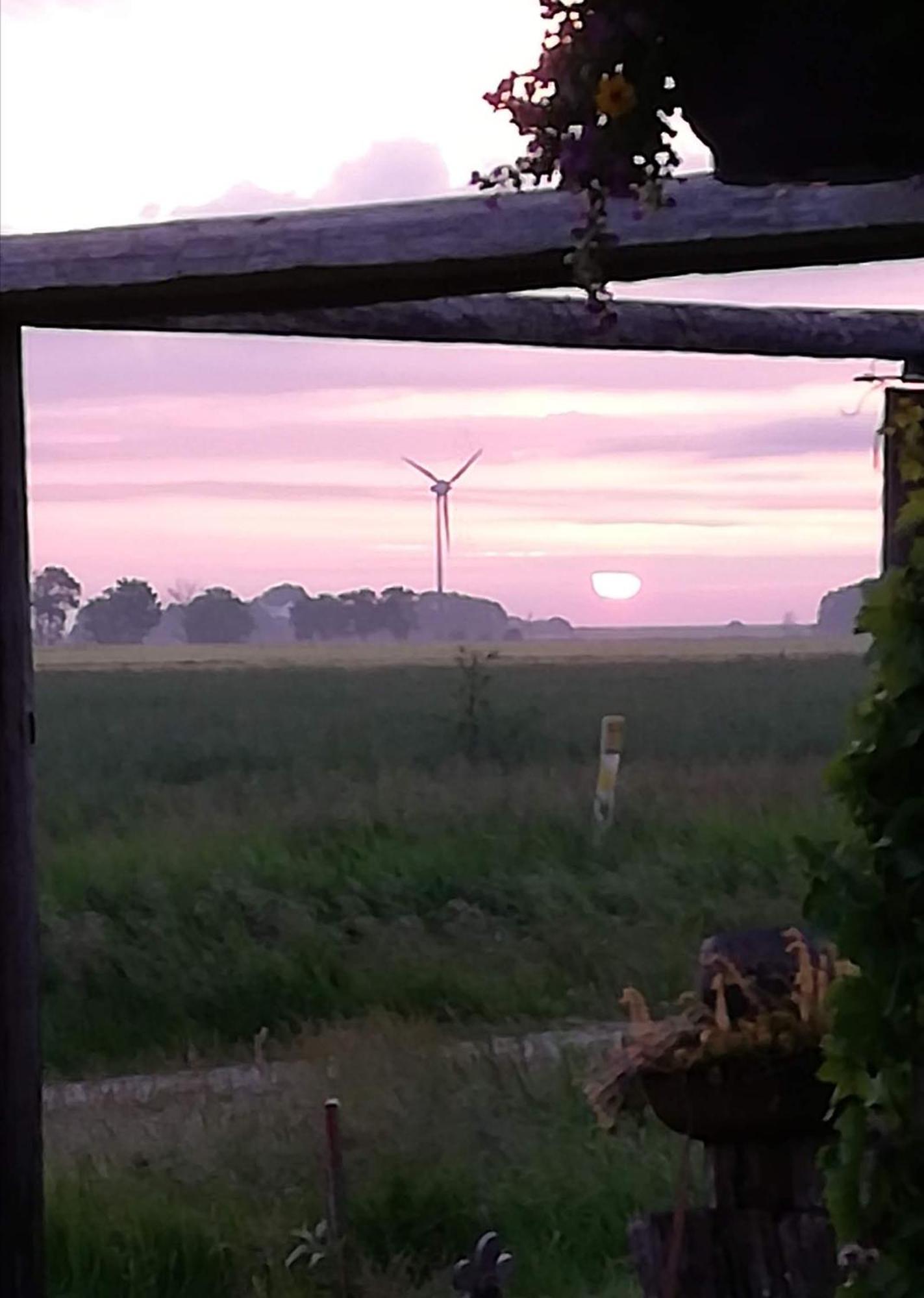 Landhaus Loewenzahn Dornum Exteriör bild