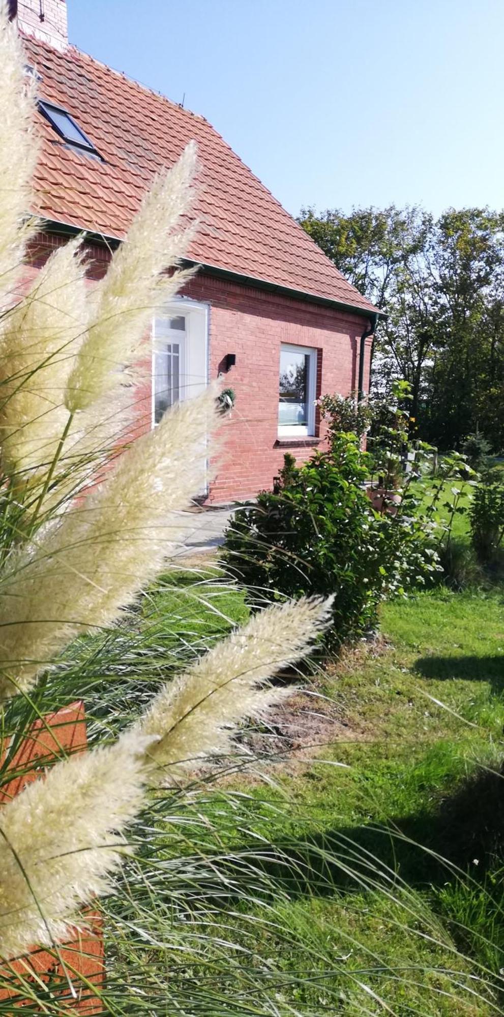 Landhaus Loewenzahn Dornum Exteriör bild